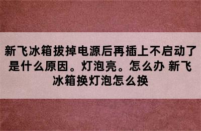 新飞冰箱拔掉电源后再插上不启动了是什么原因。灯泡亮。怎么办 新飞冰箱换灯泡怎么换